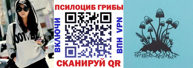 Псилоцибиновые грибы Cubensis дарнет шоп ОМГ ОМГ ссылки Нижнекамск